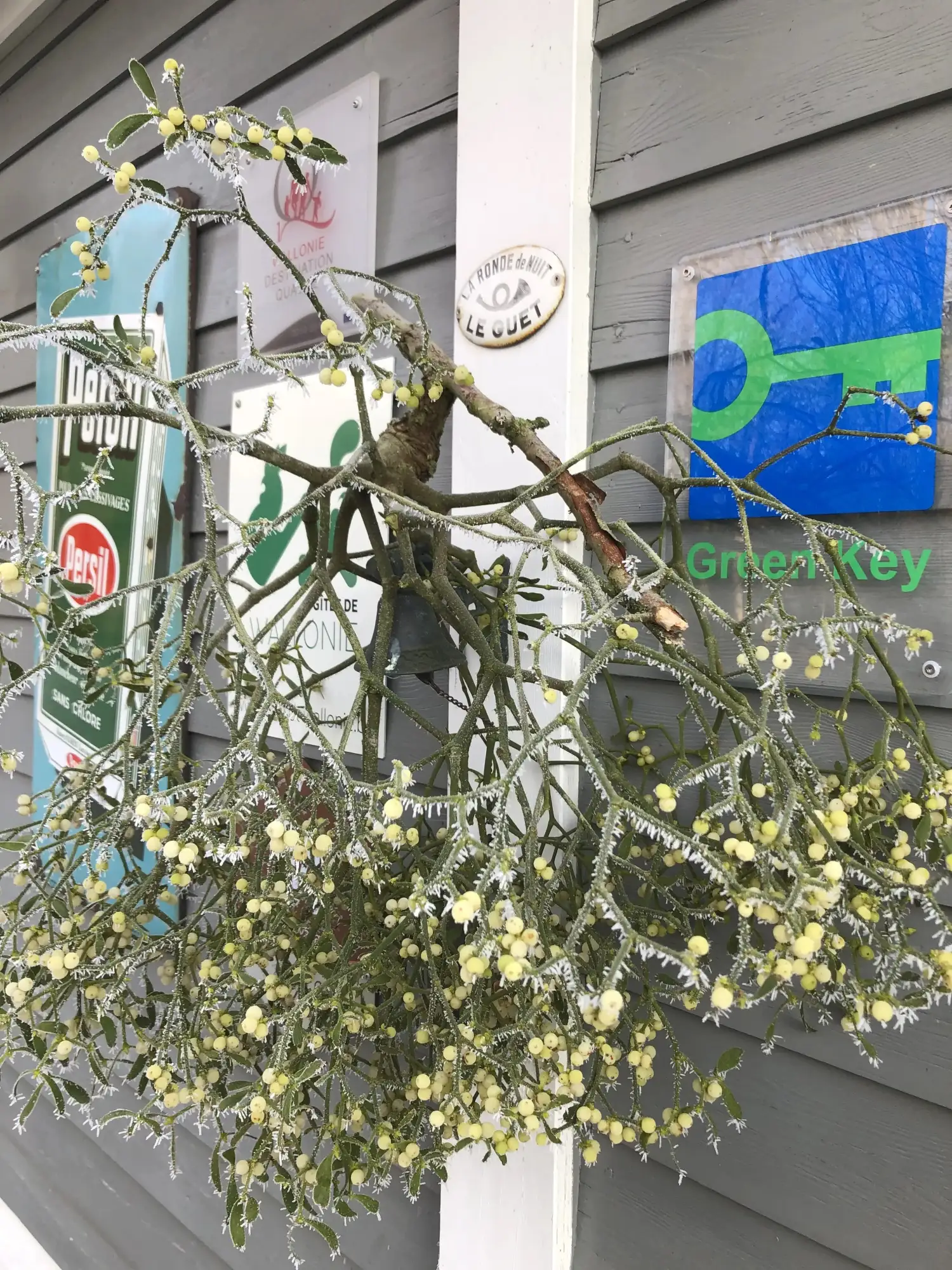 Cottage for 4 people in Walcourt Les Etangs du Francbois : Les Mélèzes